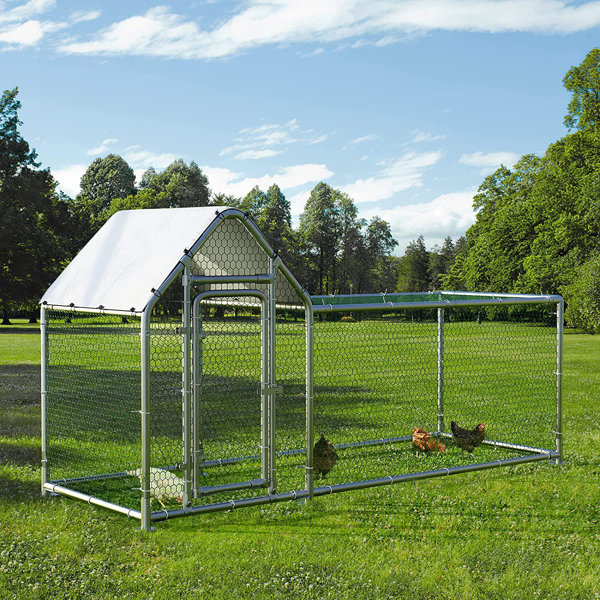 VITESSE 32.4 Square Feet Chicken Coop Wayfair